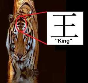 tiger20symbolism