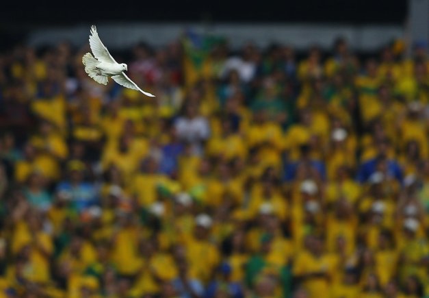 a-dove-flies-above-the-stadium-in-sao-paulo-before-the-start-of-the-first-game